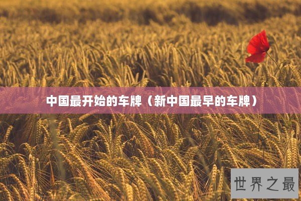中国最开始的车牌（新中国最早的车牌）
