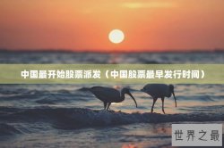 中国最开始股票派发（中国股票最早发行时间）