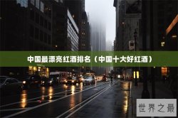 中国最漂亮红酒排名（中国十大好红酒）