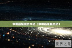 中国最坚硬的大桥（中国最坚强的桥）