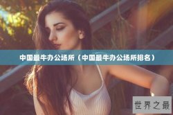 中国最牛办公场所（中国最牛办公场所排名）