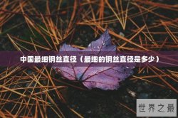 中国最细钢丝直径（最细的钢丝直径是多少）