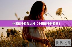 中国最牛特效大神（中国最牛的特效）