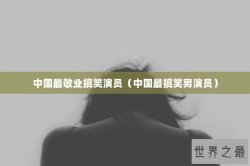 中国最敬业搞笑演员（中国最搞笑男演员）
