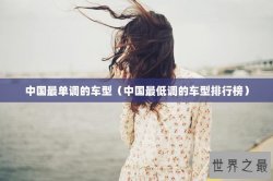 中国最单调的车型（中国最低调的车型排行榜）