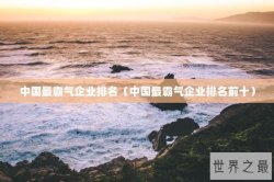 中国最霸气企业排名（中国最霸气企业排名前十）