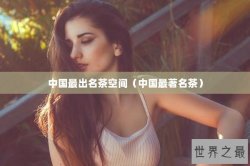 中国最出名茶空间（中国最著名茶）