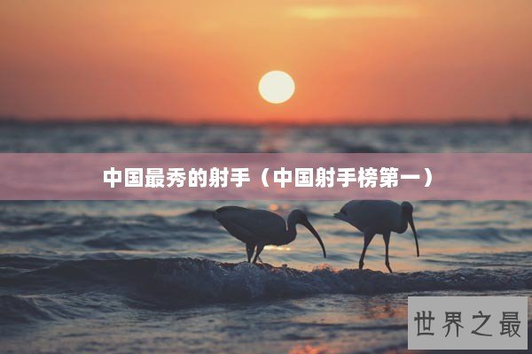 中国最秀的射手（中国射手榜第一）