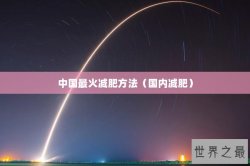 中国最火减肥方法（国内减肥）