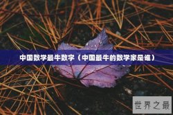 中国数学最牛数字（中国最牛的数学家是谁）