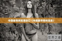 中国最奇葩高速出口（中国最悲惨的高速）