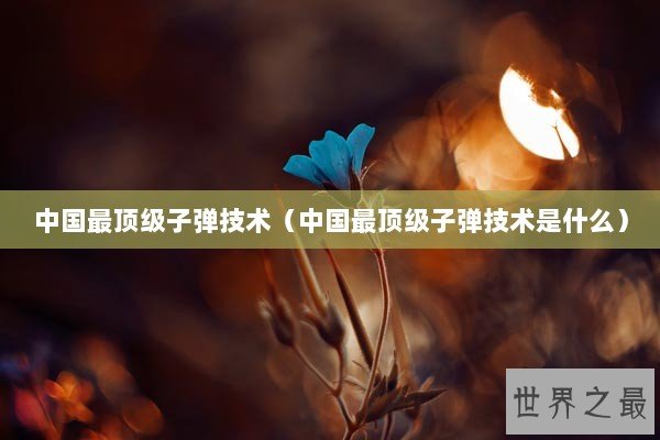 中国最顶级子弹技术（中国最顶级子弹技术是什么）