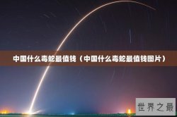 中国什么毒蛇最值钱（中国什么毒蛇最值钱图片）