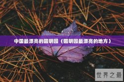 中国最漂亮的圆明园（圆明园最漂亮的地方）