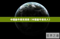 中国最牛音乐现场（中国最牛音乐人）