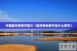 中国最恐怖数字图片（最恐怖的数字是什么数字）