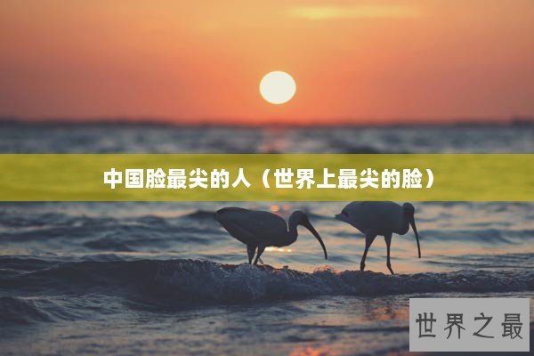 中国脸最尖的人(世界上最尖的脸) 中国脸最尖的人(世界上最尖的脸)