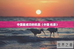 中国最成功的机票（中国 机票）