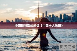 中国最特别的米饭（中国十大米饭）