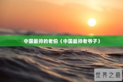 中国最帅的老伯（中国最帅老爷子）