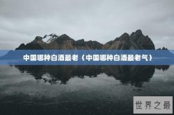 中国哪种白酒最老（中国哪种白酒最老气）