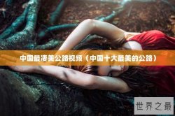 中国最凄美公路视频（中国十大最美的公路）