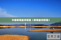 中国春晚最帅明星（春晚最帅颜值）