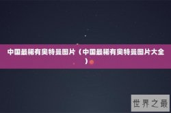 中国最稀有奥特曼图片（中国最稀有奥特曼图片大全）