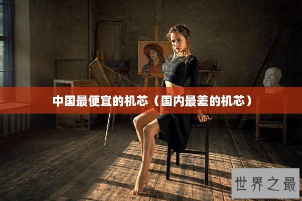 中国最便宜的机芯（国内最差的机芯）