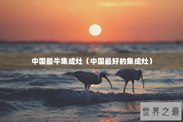 中国最牛集成灶（中国最好的集成灶）