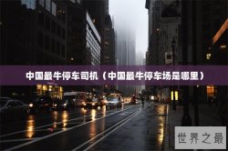 中国最牛停车司机（中国最牛停车场是哪里）