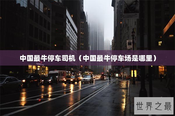 中国最牛停车司机（中国最牛停车场是哪里）