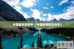 中国最刻苦辩手（中国最强辩论选手）
