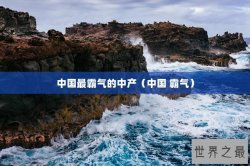 中国最霸气的中产（中国 霸气）
