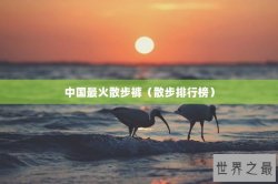 中国最火散步裤（散步排行榜）