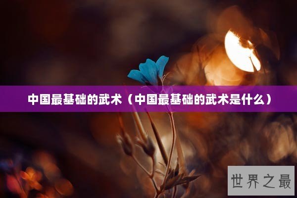 中国最基础的武术（中国最基础的武术是什么）
