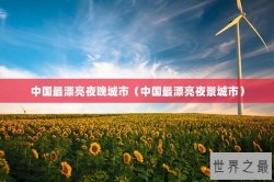 中国最漂亮夜晚城市（中国最漂亮夜景城市）