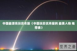 中国最漂亮扶贫衣服（中国扶贫优秀案例 最美人物 推荐表）