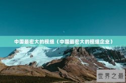 中国最宏大的模组（中国最宏大的模组企业）