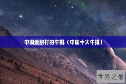 中国最耐打的牛排（中国十大牛排）