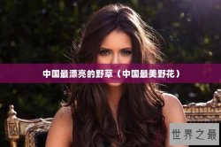 中国最漂亮的野草（中国最美野花）