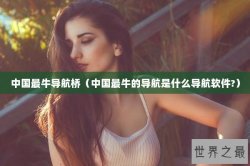 中国最牛导航桥（中国最牛的导航是什么导航软件?）