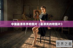 中国最漂亮手枪图片（最漂亮的枪图片）
