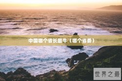 中国哪个省长最牛（哪个省委）