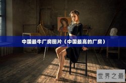 中国最牛厂房图片（中国最高的厂房）