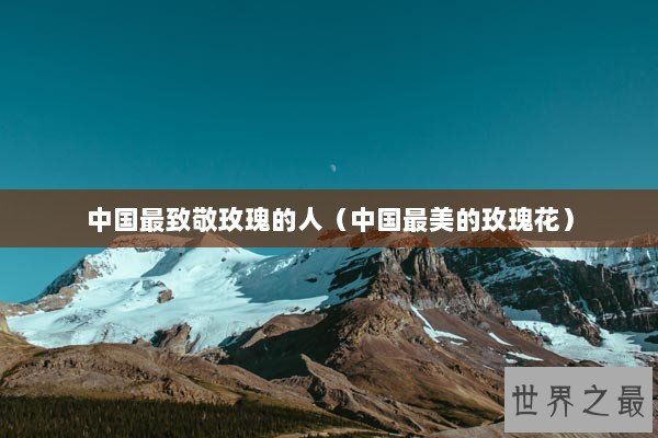 中国最致敬玫瑰的人(中国最美的玫瑰花) 中国最致敬玫瑰的人(中国最美的玫瑰花)