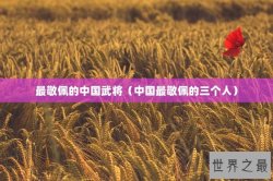 最敬佩的中国武将（中国最敬佩的三个人）