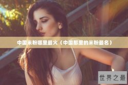 中国米粉哪里最火（中国那里的米粉最名）