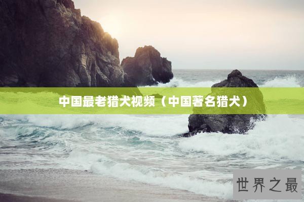 中国最老猎犬视频（中国著名猎犬）