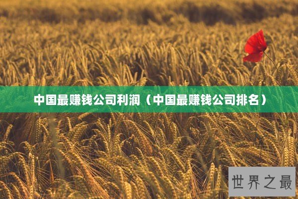 中国最赚钱公司利润（中国最赚钱公司排名）